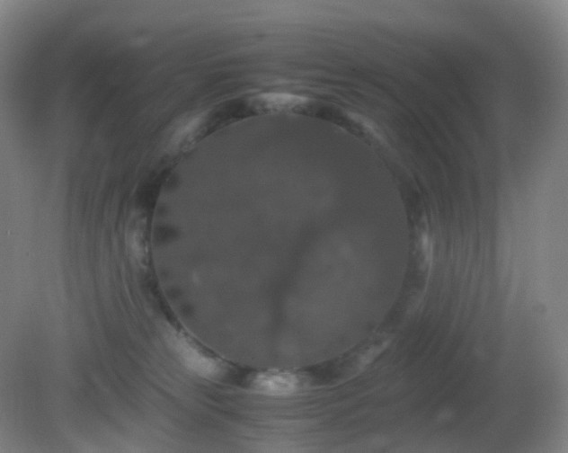 X0000081310181200701181911