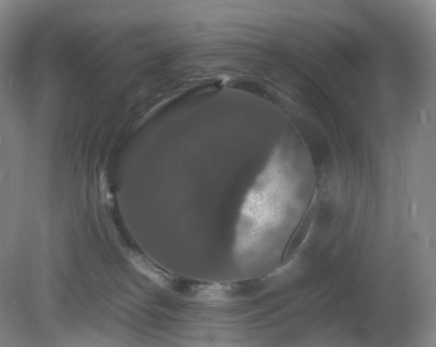 X0000081310182200701181912