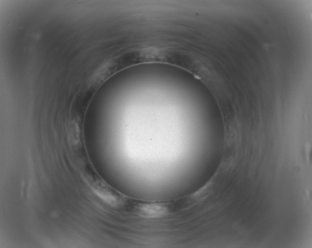 X0000081310183200701181912