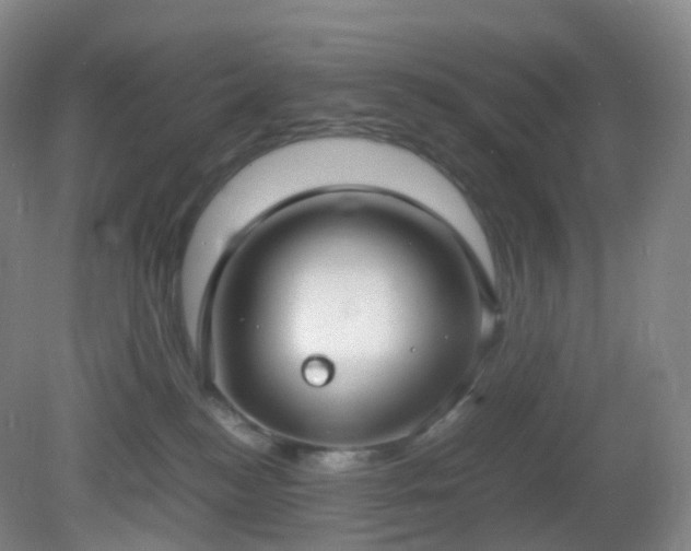 X0000081310184200701181912