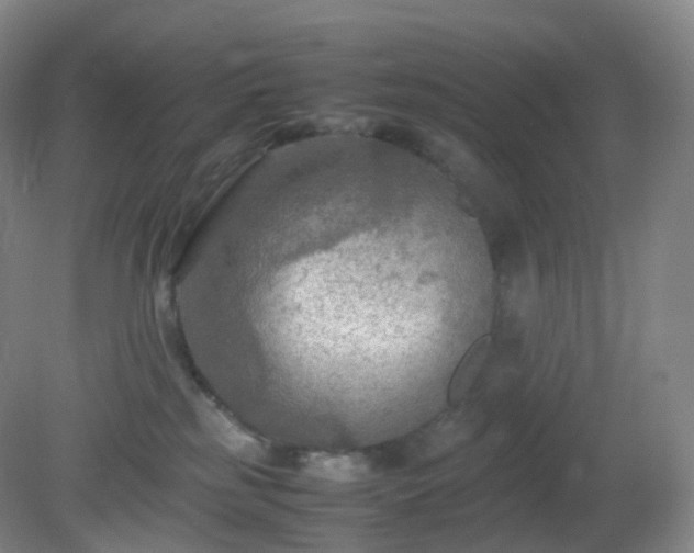 X0000081310185200701181912