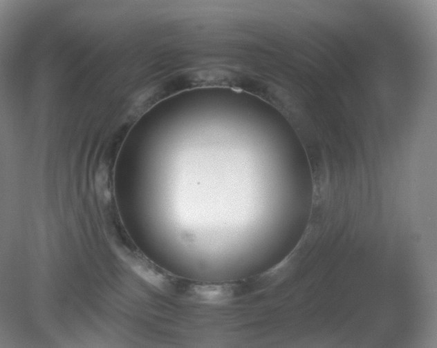 X0000081310187200701181912