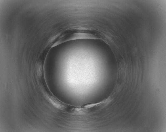 X0000081310188200701181912