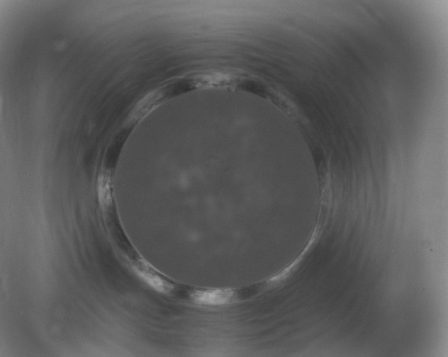 X0000081310191200701181912