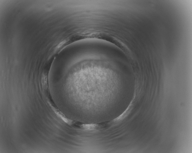 X0000081310192200701181912