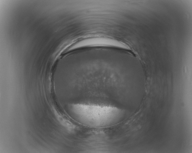 X0000081310194200701181911