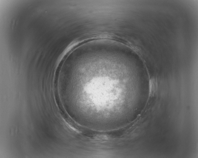 X0000081310195200701181911