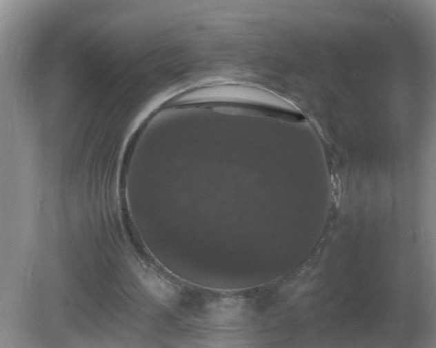 X0000081310196200701181911