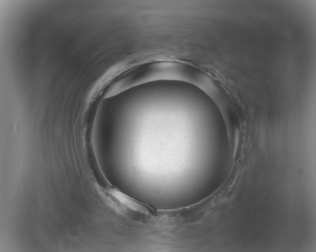 X0000081310197200701181911