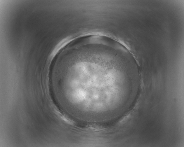 X0000081310199200701181911