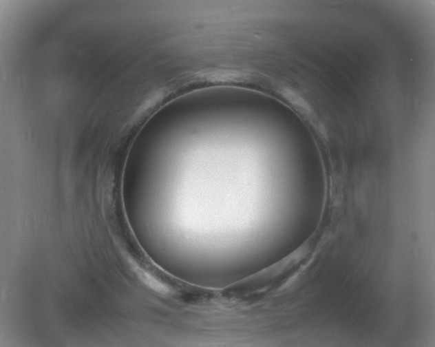 X0000081310201200701181911