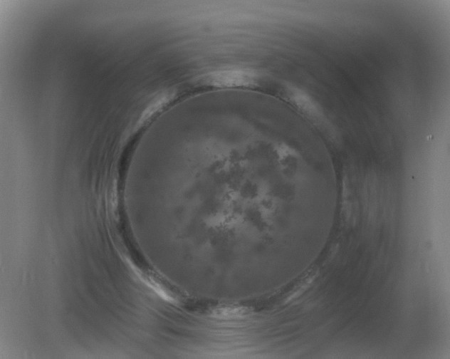 X0000081310202200701181911