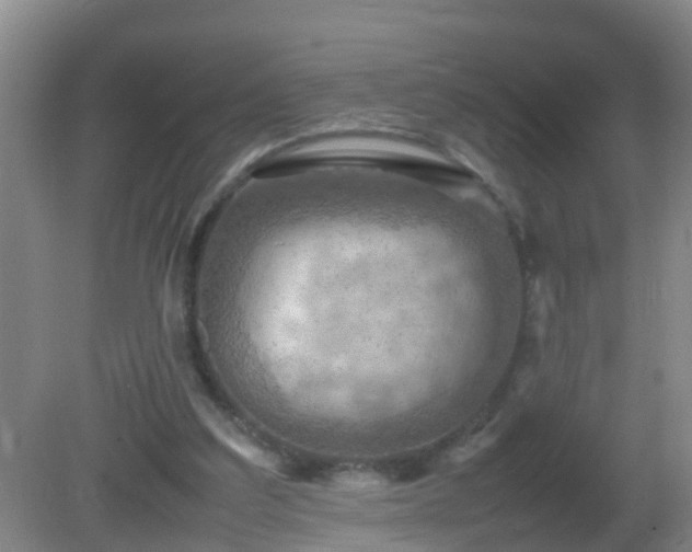 X0000081310203200701181911