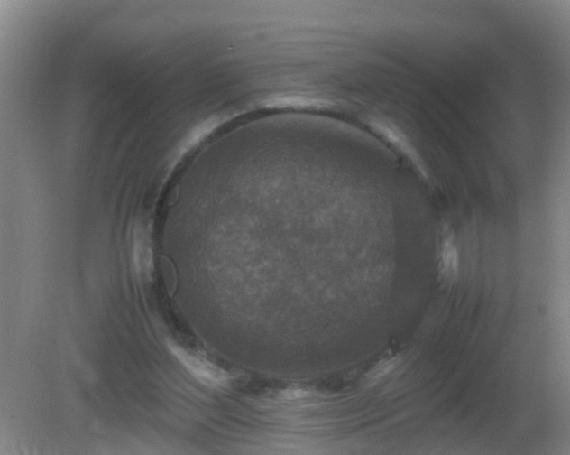 X0000081310204200701181911