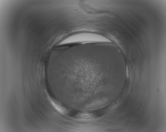 X0000081310205200701181911