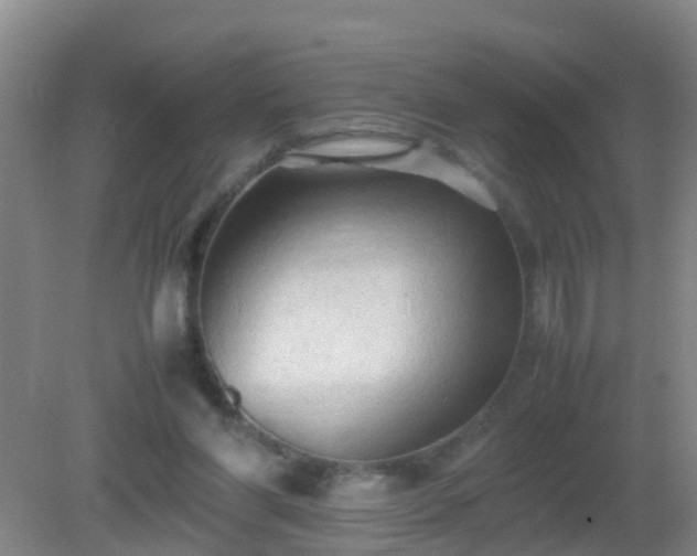 X0000081310206200701181911