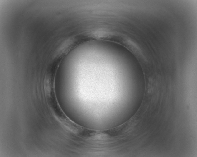 X0000081310210200701181911