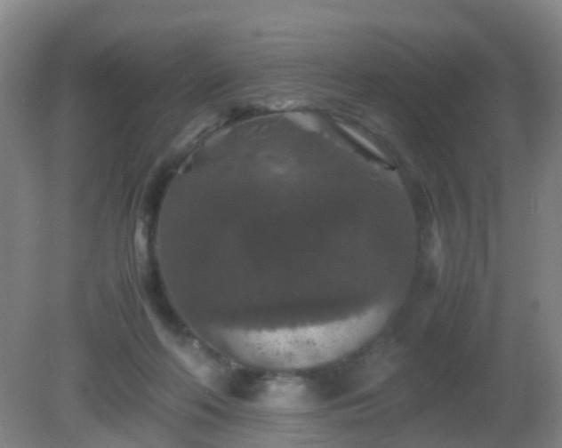 X0000081310214200701181911