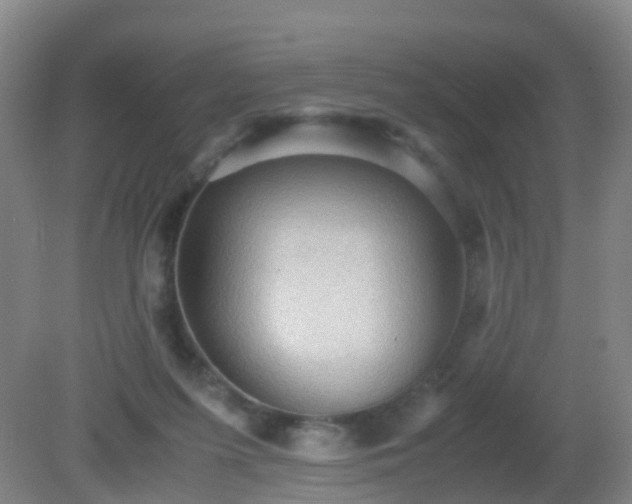 X0000081310215200701181910