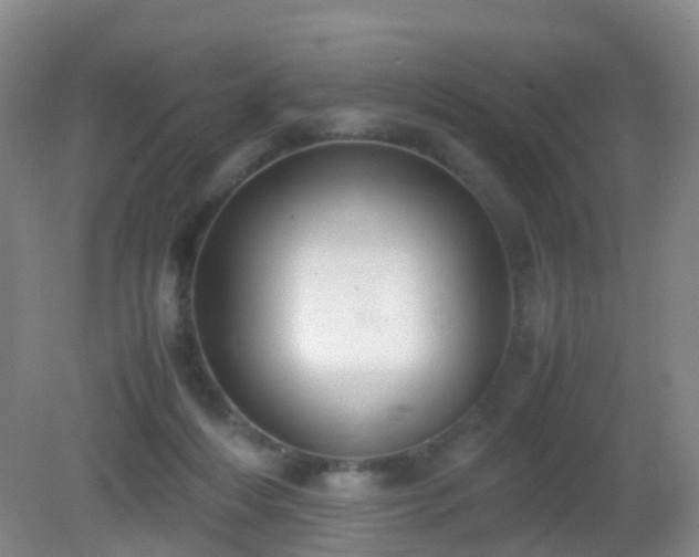 X0000081310216200701181910