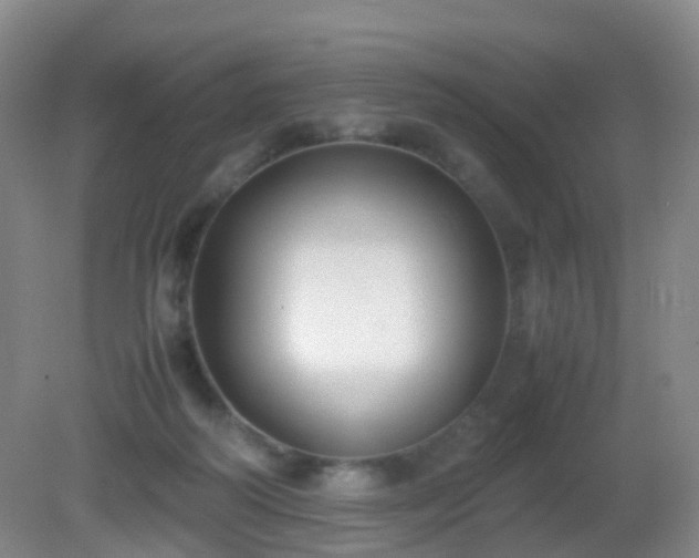 X0000081310218200701181910