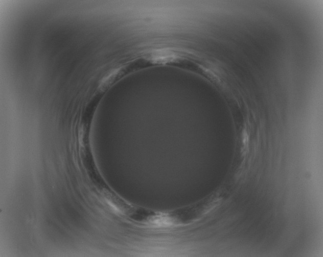 X0000081310219200701181910