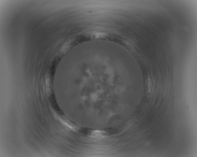 X0000081310222200701181910