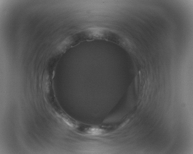 X0000081310223200701181910