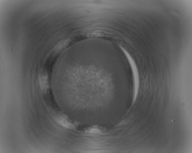 X0000081310224200701181910