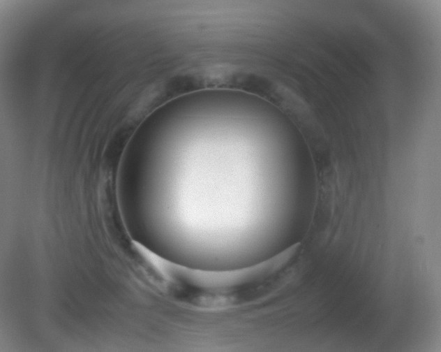 X0000081310225200701181910