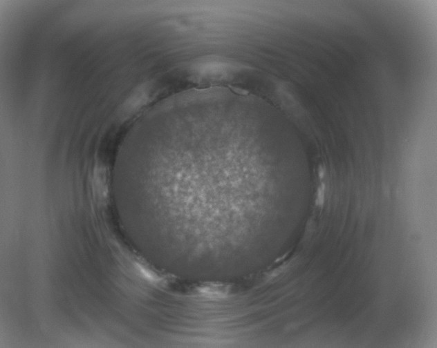 X0000081310232200701181910