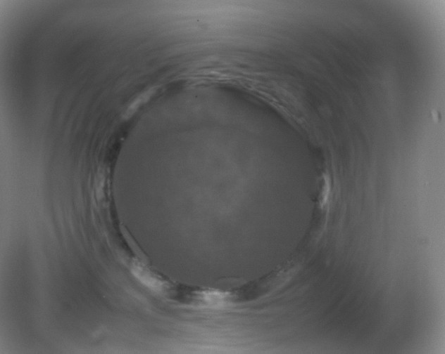 X0000081310233200701181910