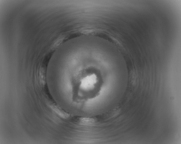 X0000081310234200701181910