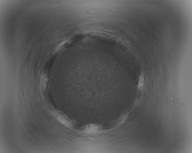 X0000081310235200701181910