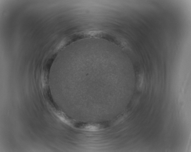 X0000081310236200701181910