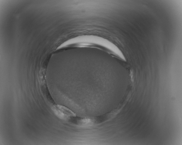 X0000081310237200701181910