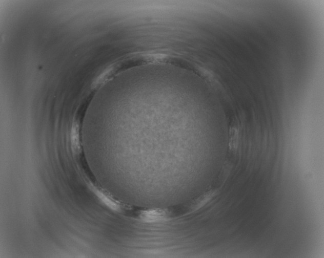 X0000081310238200701181910