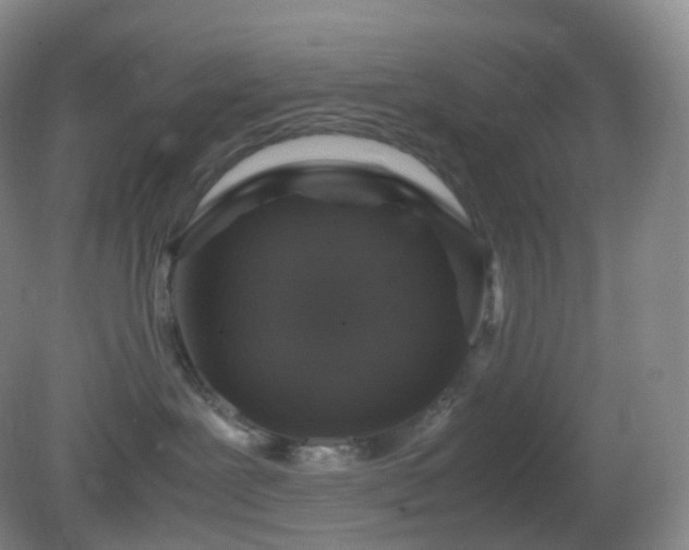 X0000081310239200701181910