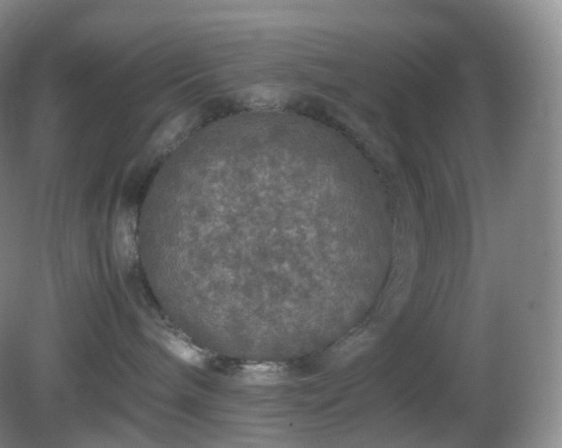 X0000081310240200701181910