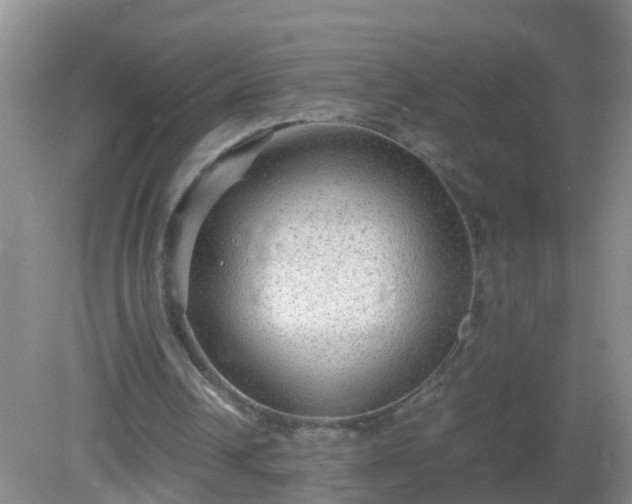 X0000081310242200701181909