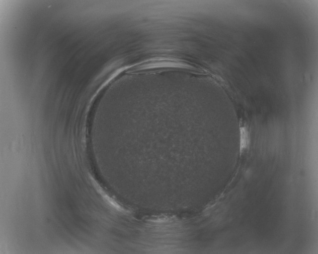 X0000081310243200701181909