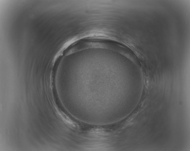 X0000081310244200701181909