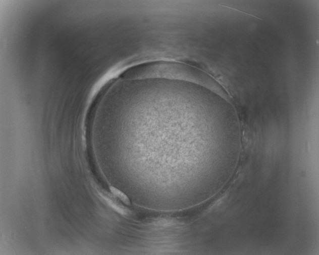 X0000081310246200701181909