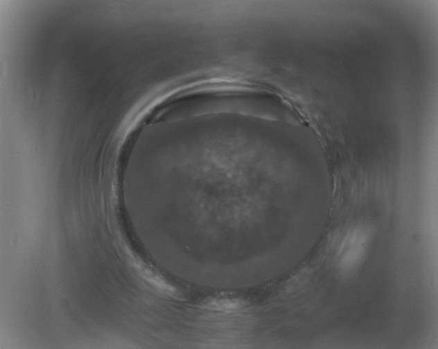 X0000081310247200701181909