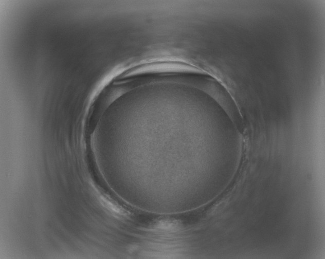 X0000081310248200701181909