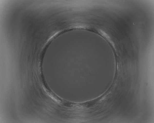 X0000081310249200701181909