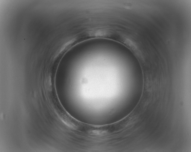 X0000081310251200701181909