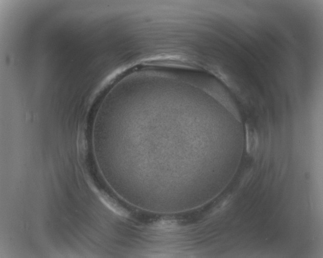 X0000081310252200701181909