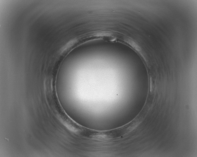 X0000081310253200701181909