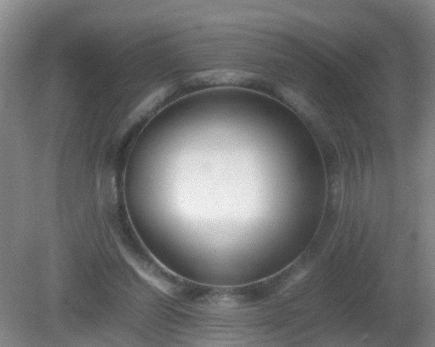 X0000081310254200701181909